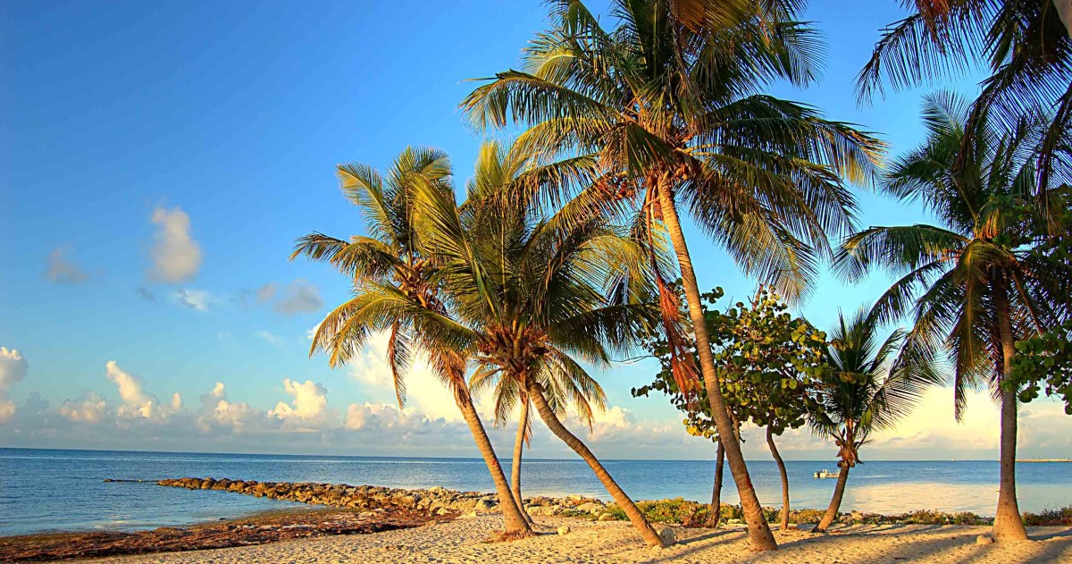 Florida health IT