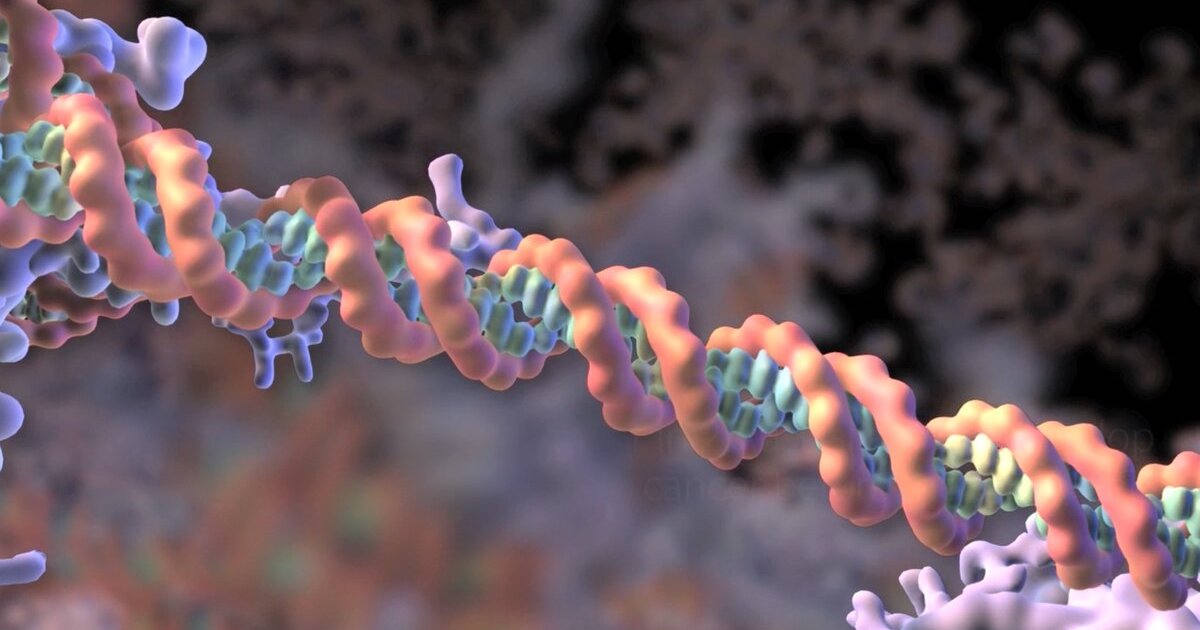 A photo of a basic DNA