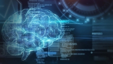 Representation of a brain. AI NLP Cloud