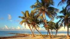 Florida health IT