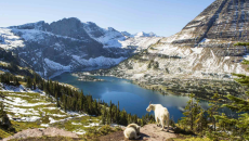 Montana scenery