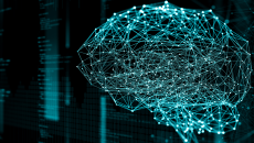 A digital representation of a brain