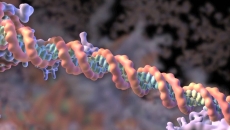 A photo of a basic DNA