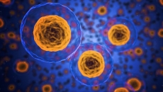 Egypt, cancer diagnosis, digital pathology
