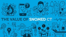 SNOMED, standards, Riayati