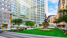 Mayo Clinic campus