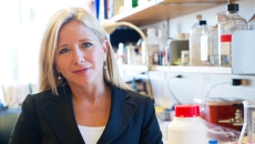 Dr. Michal Elovitz,