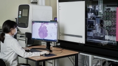 A clinician observing a heart scan through a computer.