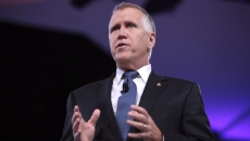 Sen. Thom Tilliis