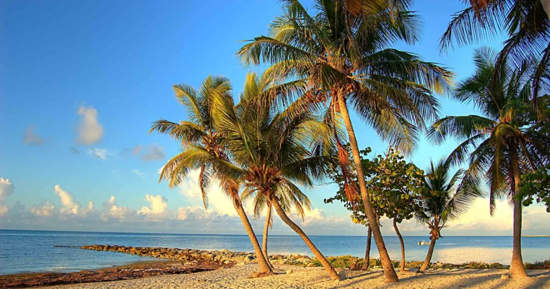 Florida health IT