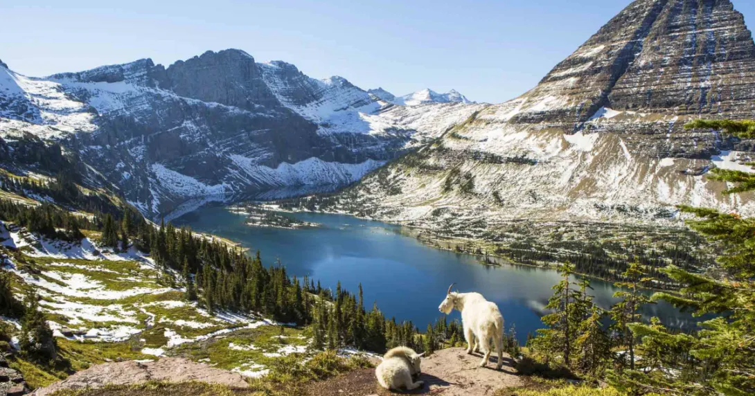 Montana scenery