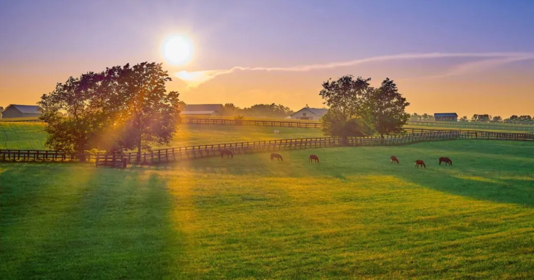 Kentucky remote patient monitoring