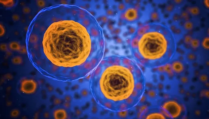 The country’s General Authority of Healthcare will be the first entity in the country to use the technology, the authority’s chairman told Arabic media. Egypt, cancer diagnosis, digital pathology