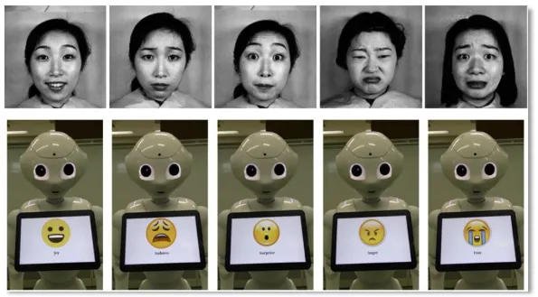 New study details how the Commission and its Japanese partners have created smart living environments with care robots. EU Commission