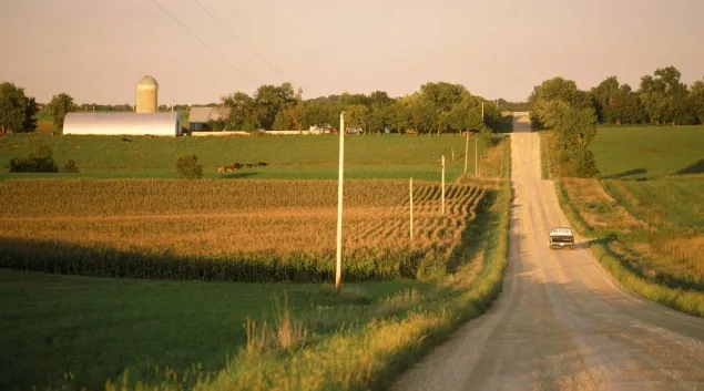 Dirt road leading to farm