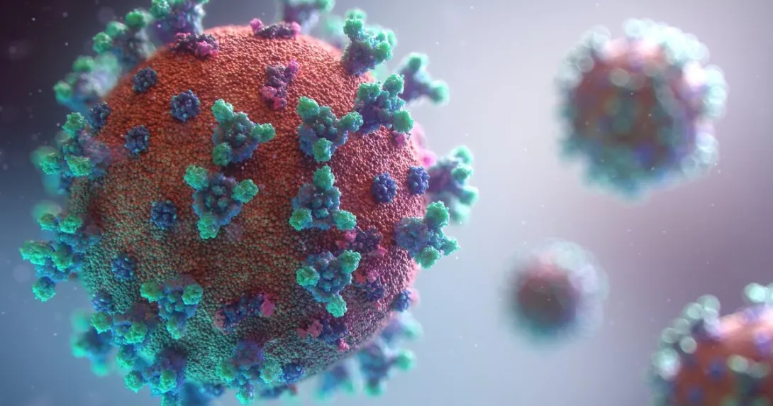 Photo of a COVID-19 virus