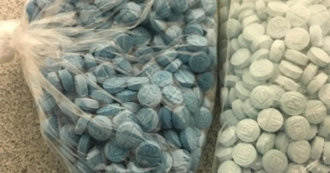 Two bags filled with pills