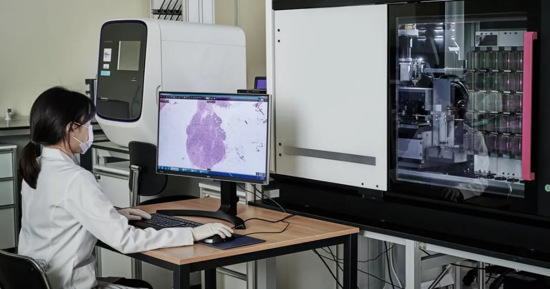 A clinician observing a heart scan through a computer.