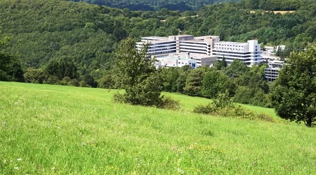 Rural hospital complex