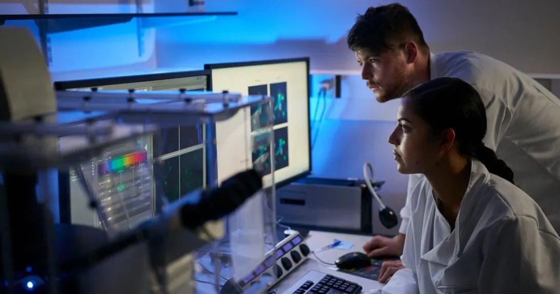 Two researchers analysing models in a computer software