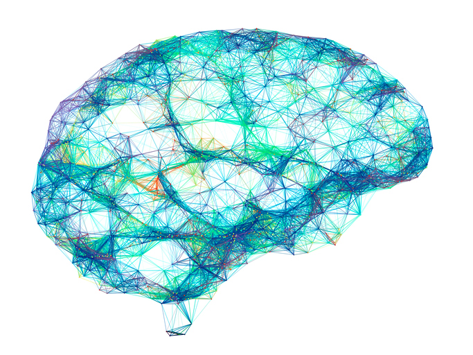 Brain wireframe illustration.