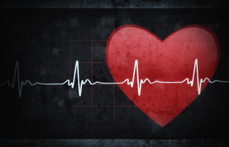 Heart with heart rate line