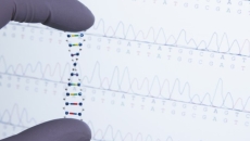precision medicine - fingers hold strand of DNA