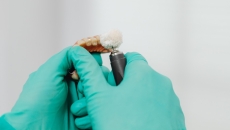 Dentures held by hands in gloves