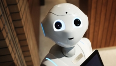 Head of a robot