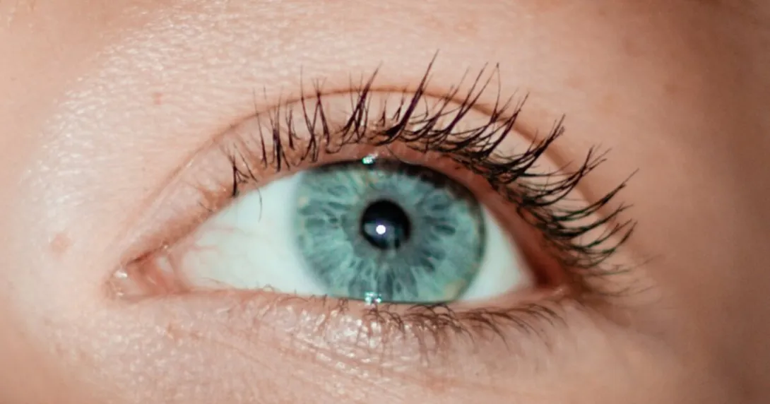 Image of an eye Image of an eye
